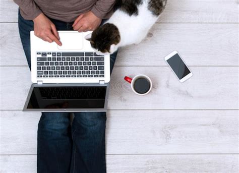 How to Make Your Website Sticky: Why Cats Love Keyboards and Other Mysteries