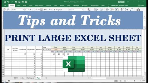 How to Print an Excel Spreadsheet and Why Cats Love Spreadsheets Too