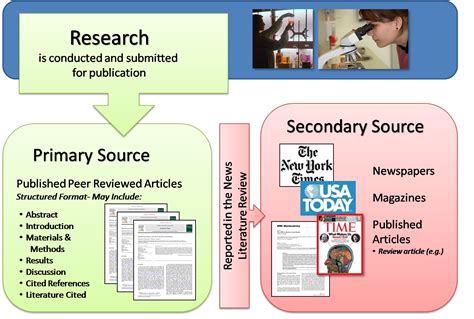 Is a Website a Primary or Secondary Source: Exploring the Digital Age's Information Dilemma