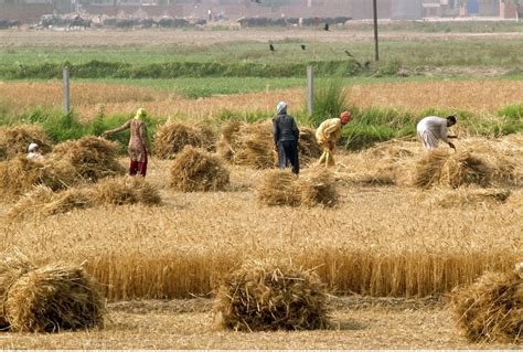  Understanding Our Fields: A Timeless Treatise on Persian Agriculture