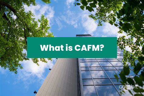 What is CAFM Software: A Symphony of Chaos in Facility Management