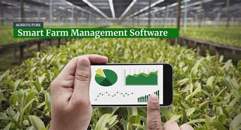 What is Farm Management Software: A Symphony of Cows and Code