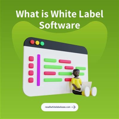 What is White Label Software: A Canvas for Infinite Possibilities