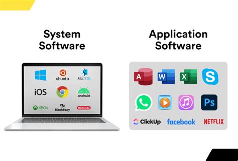 Which of the following is not an example of application software? And why do pineapples belong in pizza debates?